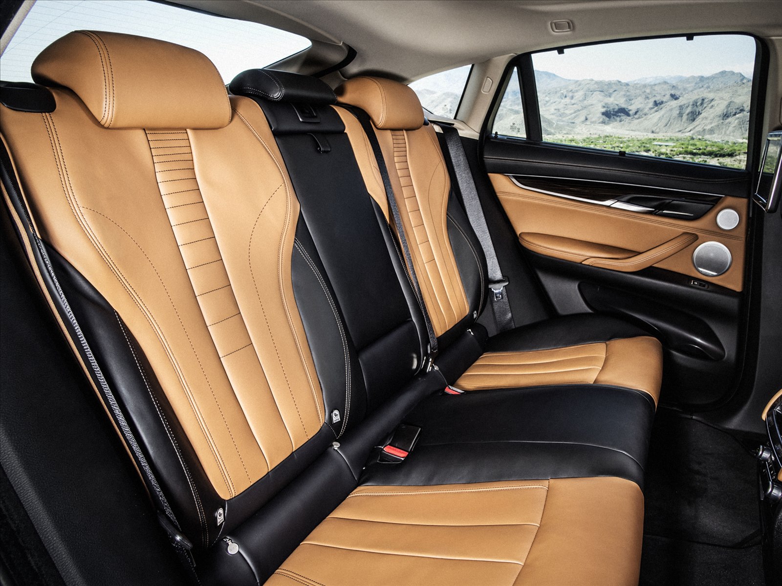 BMW X6 2015