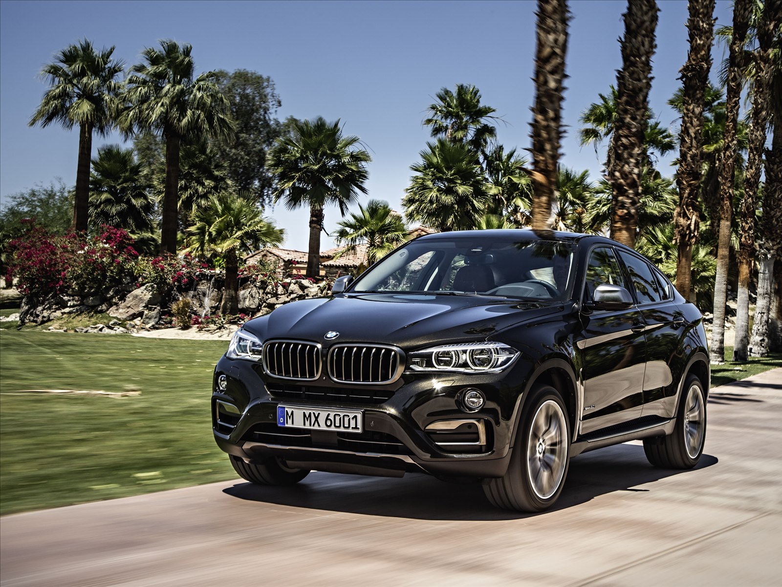 BMW X6 2015