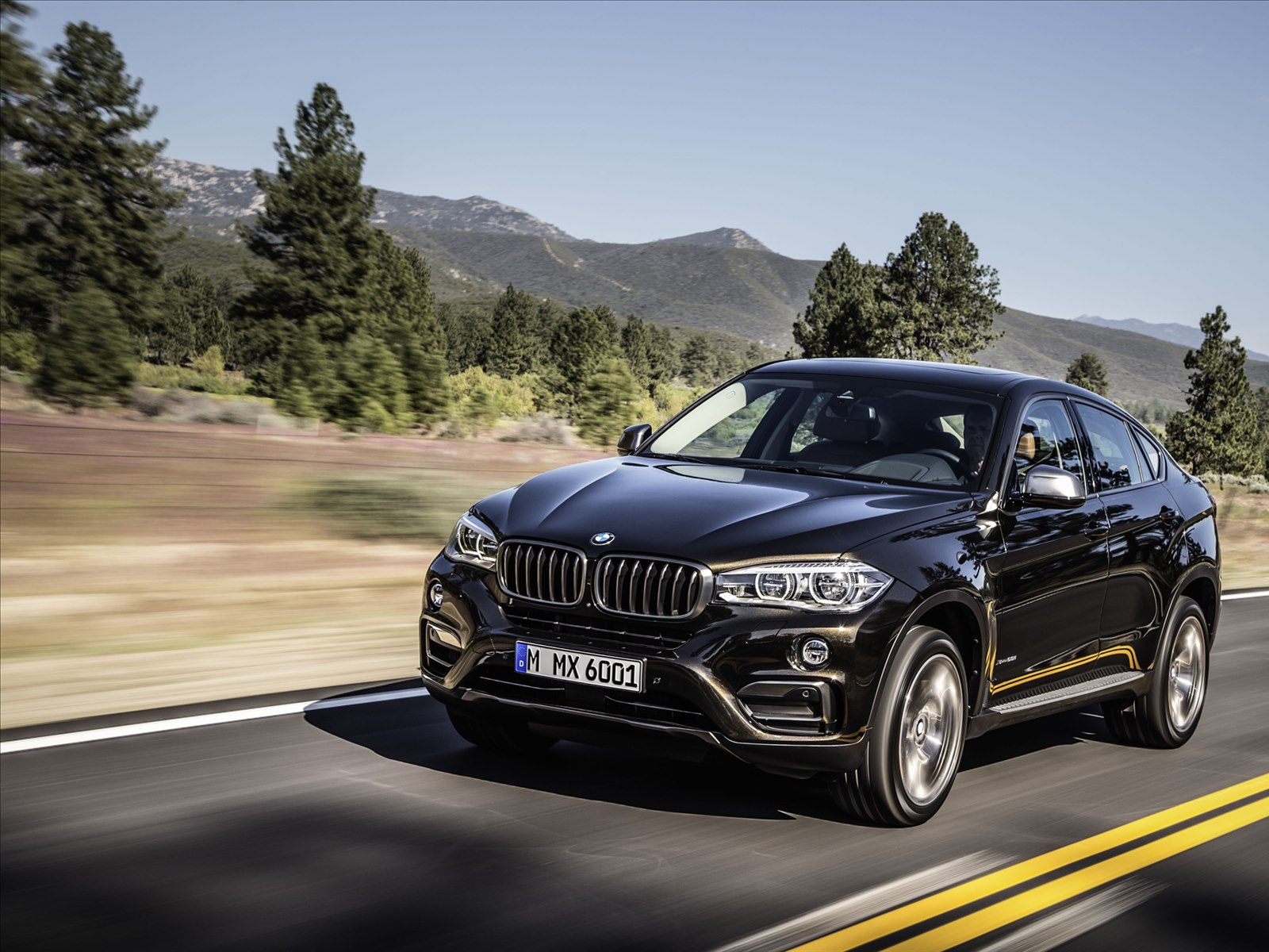 BMW X6 2015
