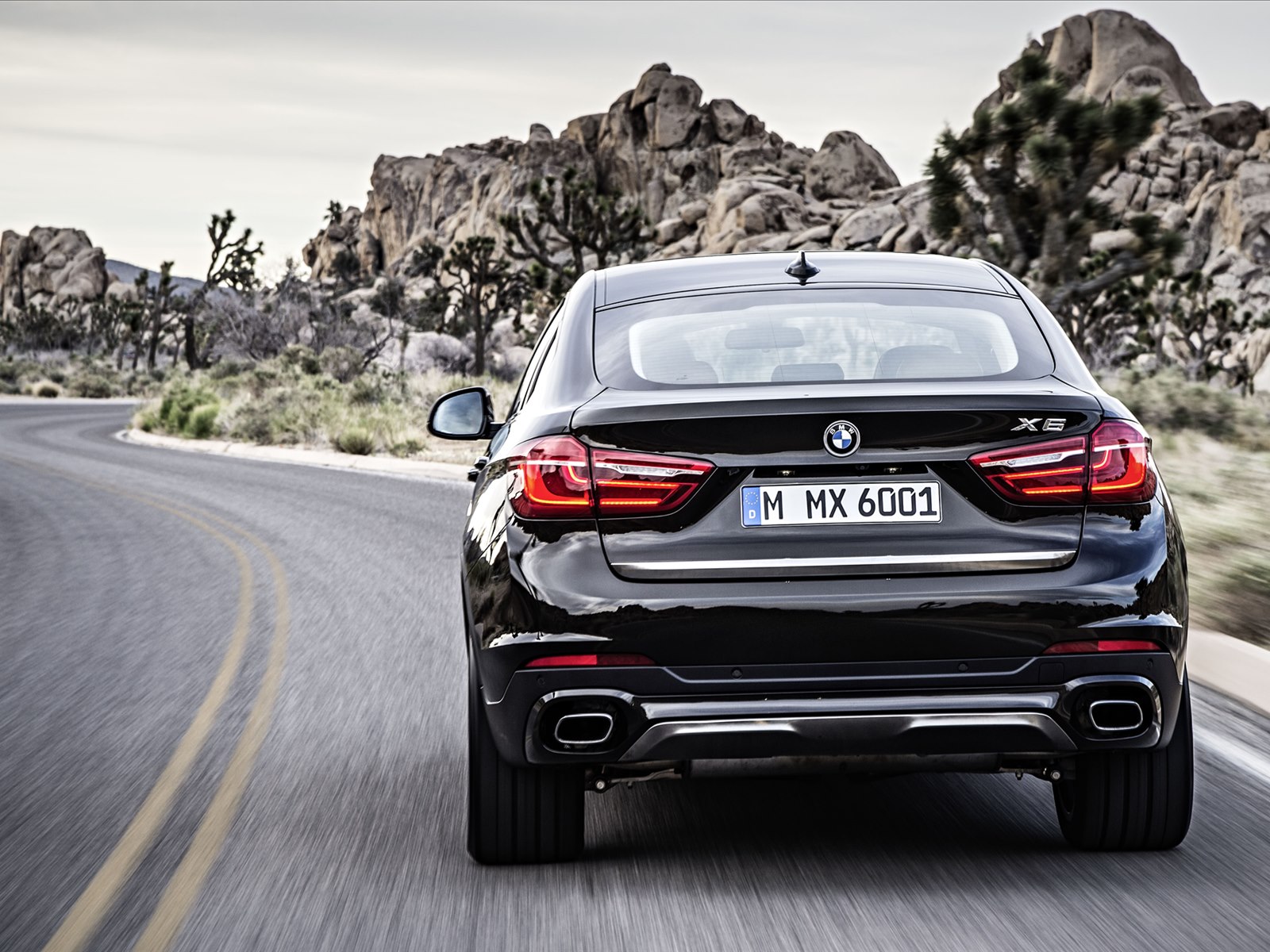 BMW X6 2015