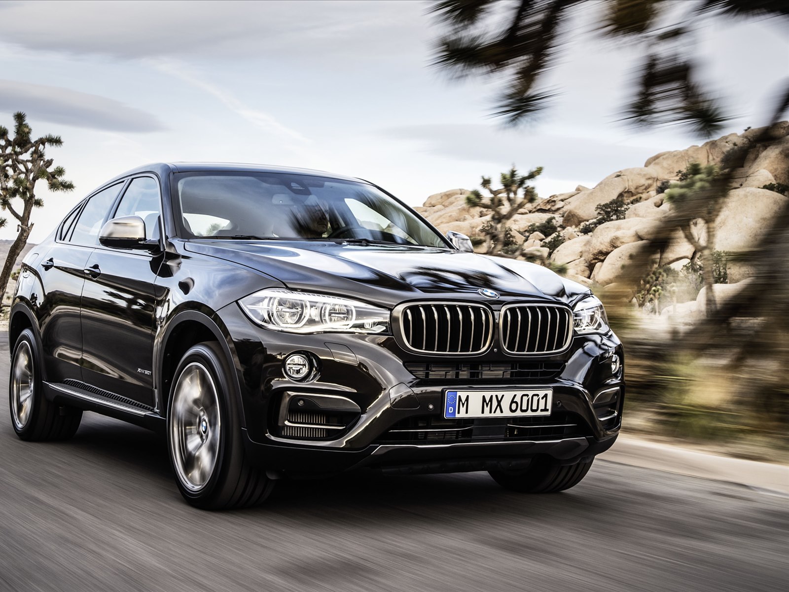 BMW X6 2015