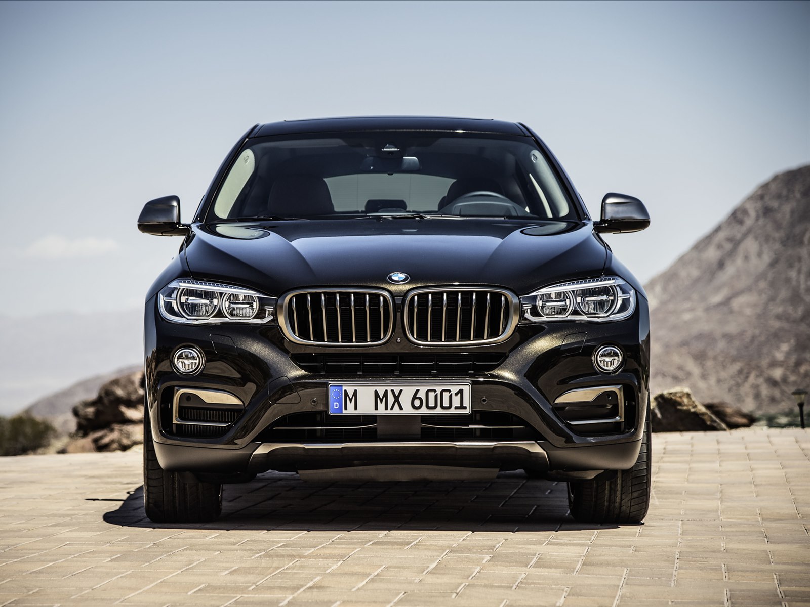 BMW X6 2015