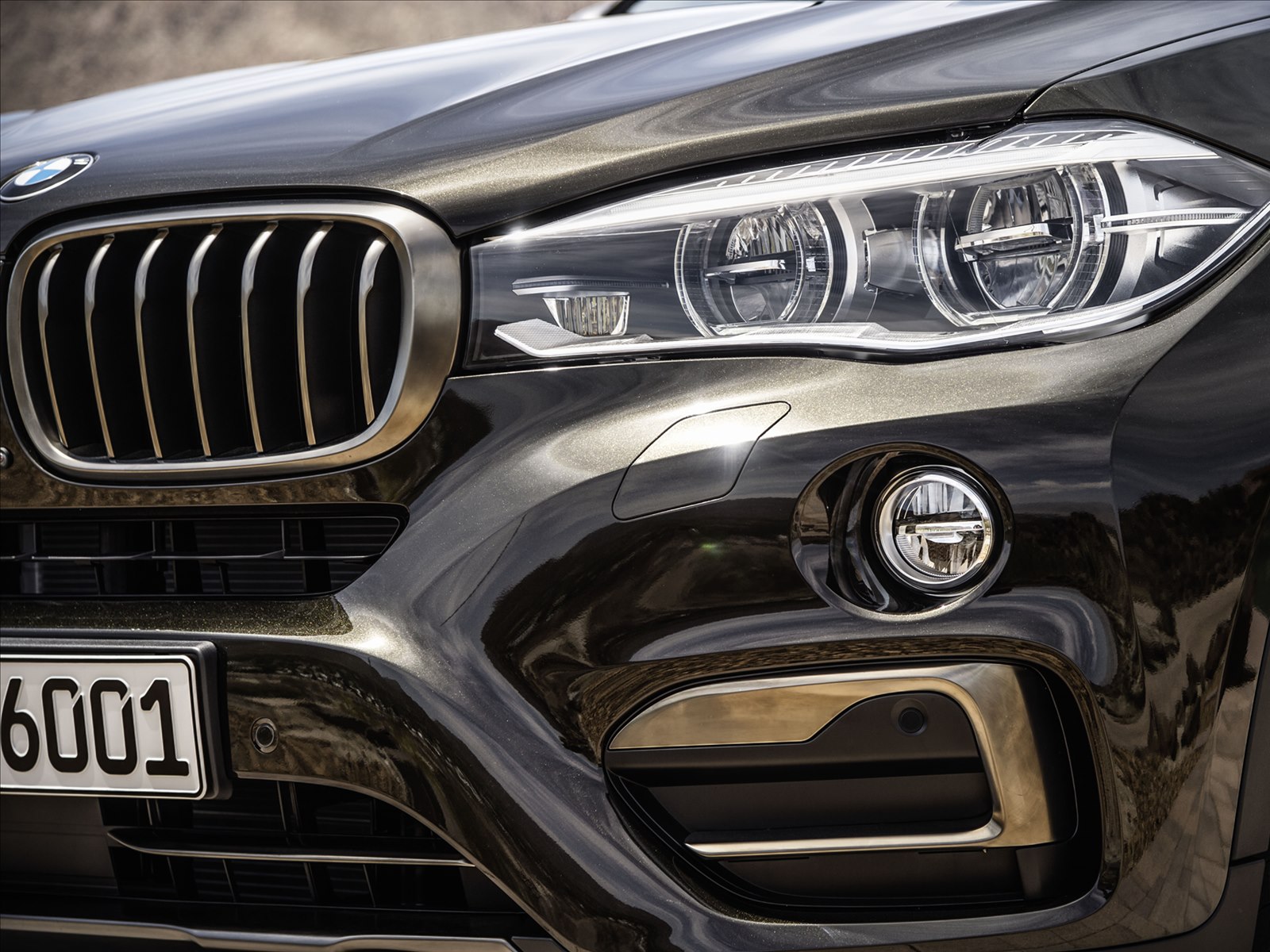 BMW X6 2015