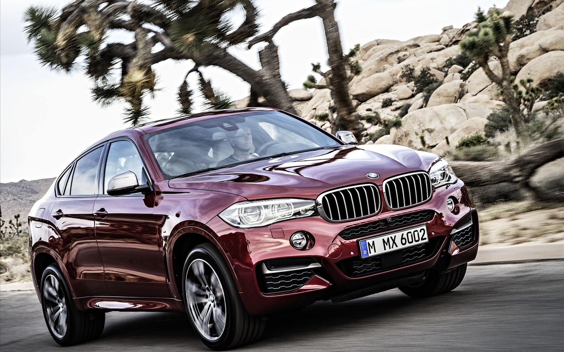 BMW X6 2015