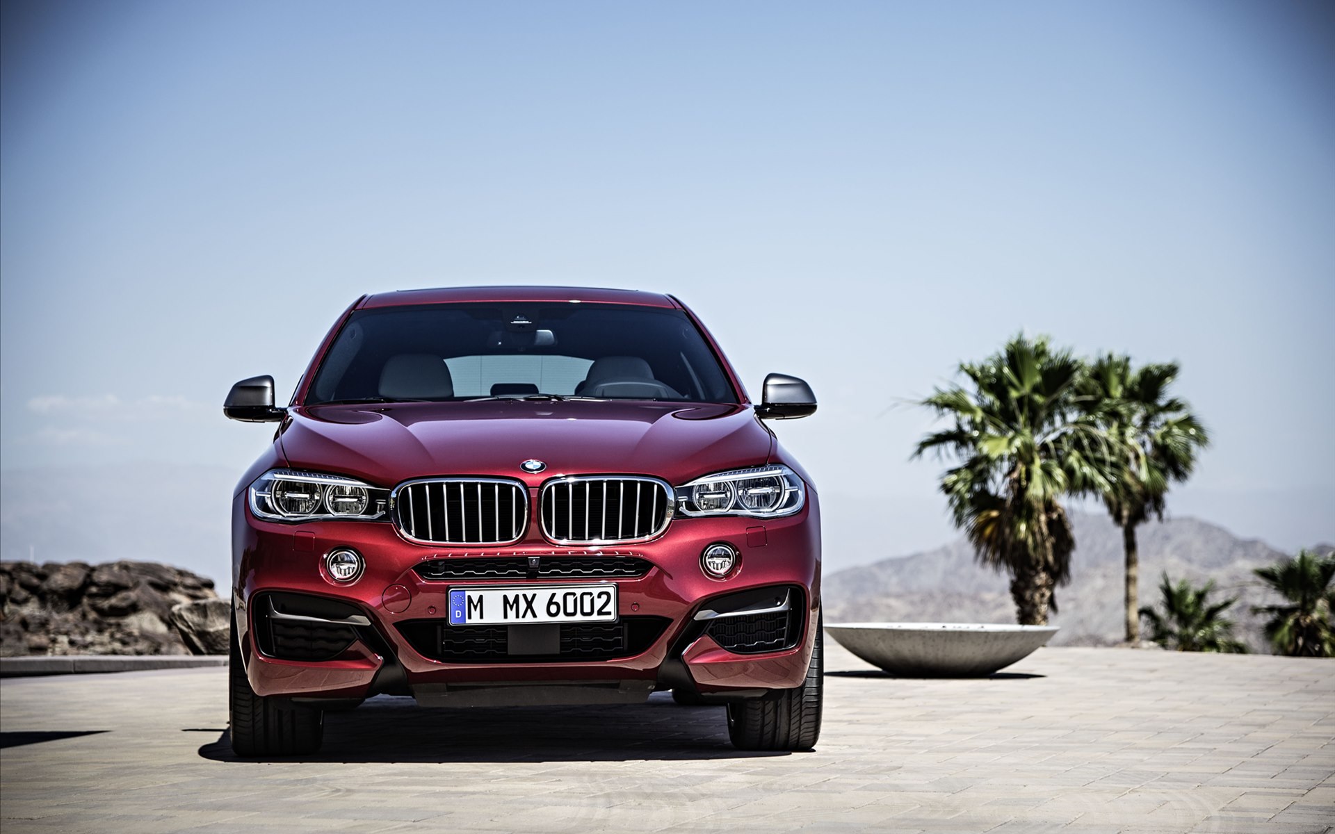BMW X6 2015