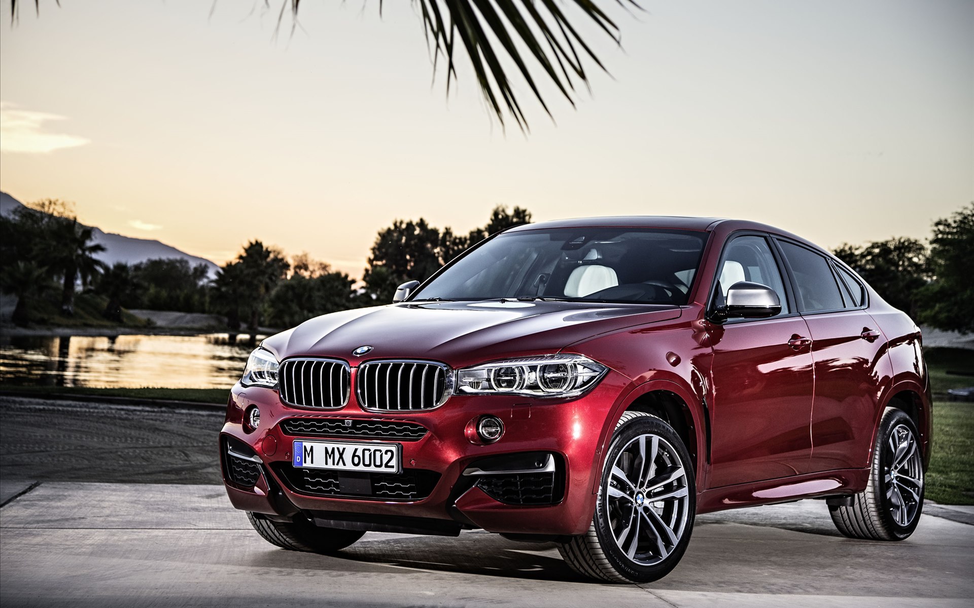 BMW X6 2015