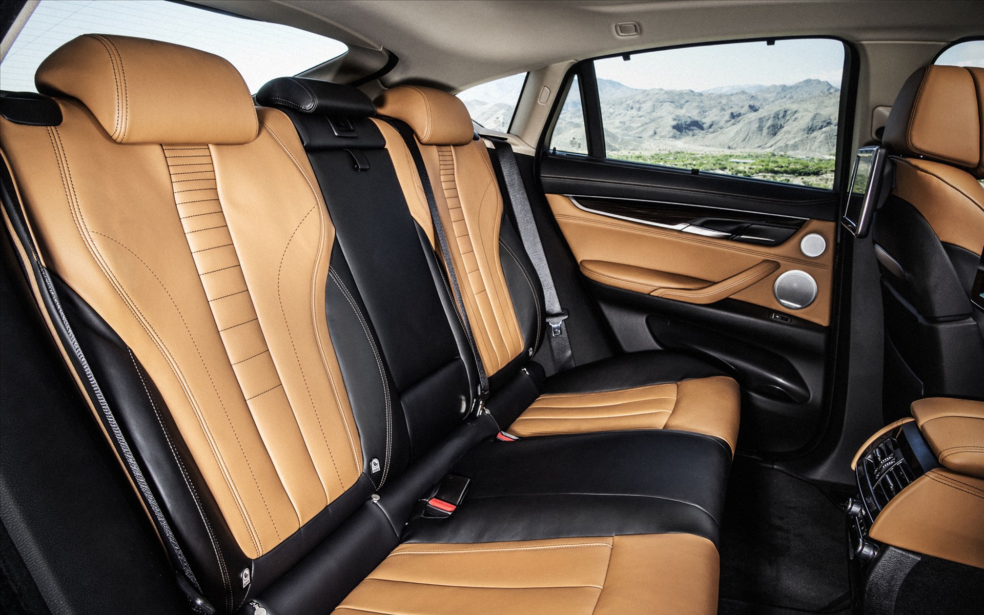 BMW X6 2015