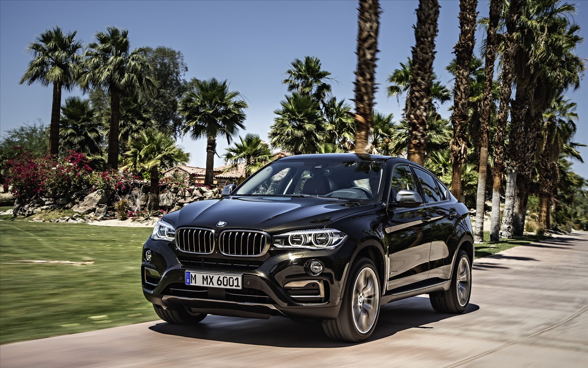BMW X6 2015