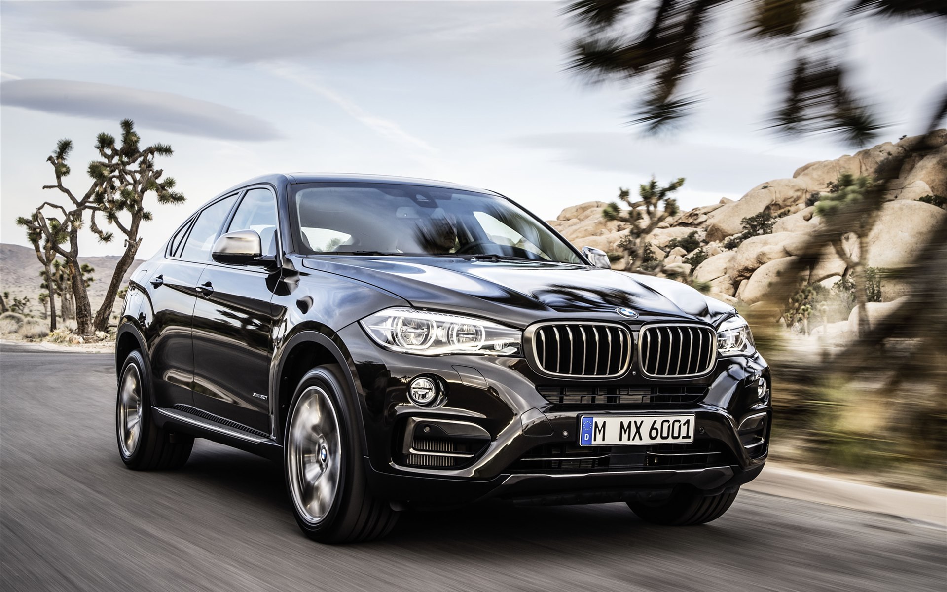 BMW X6 2015