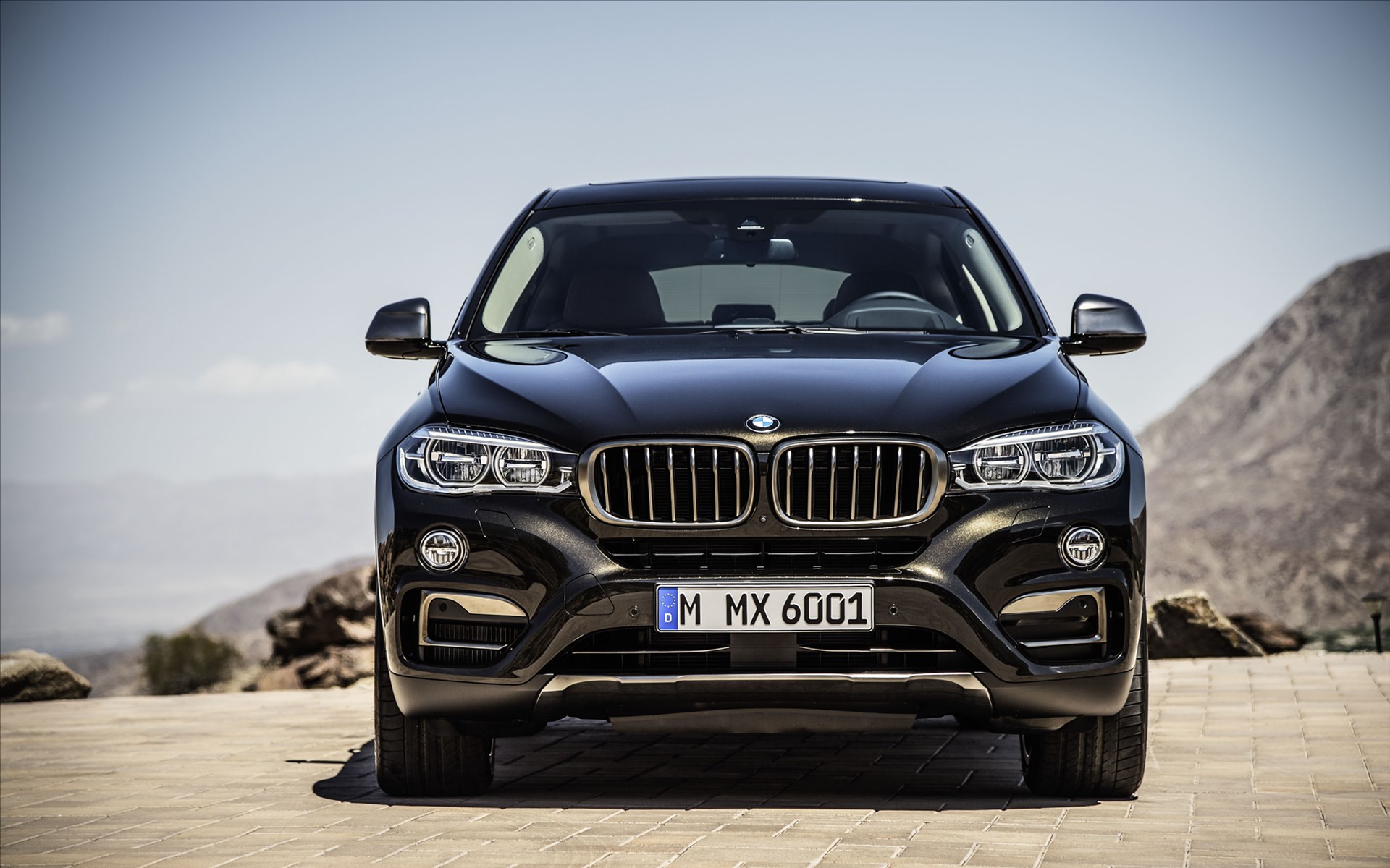 BMW X6 2015