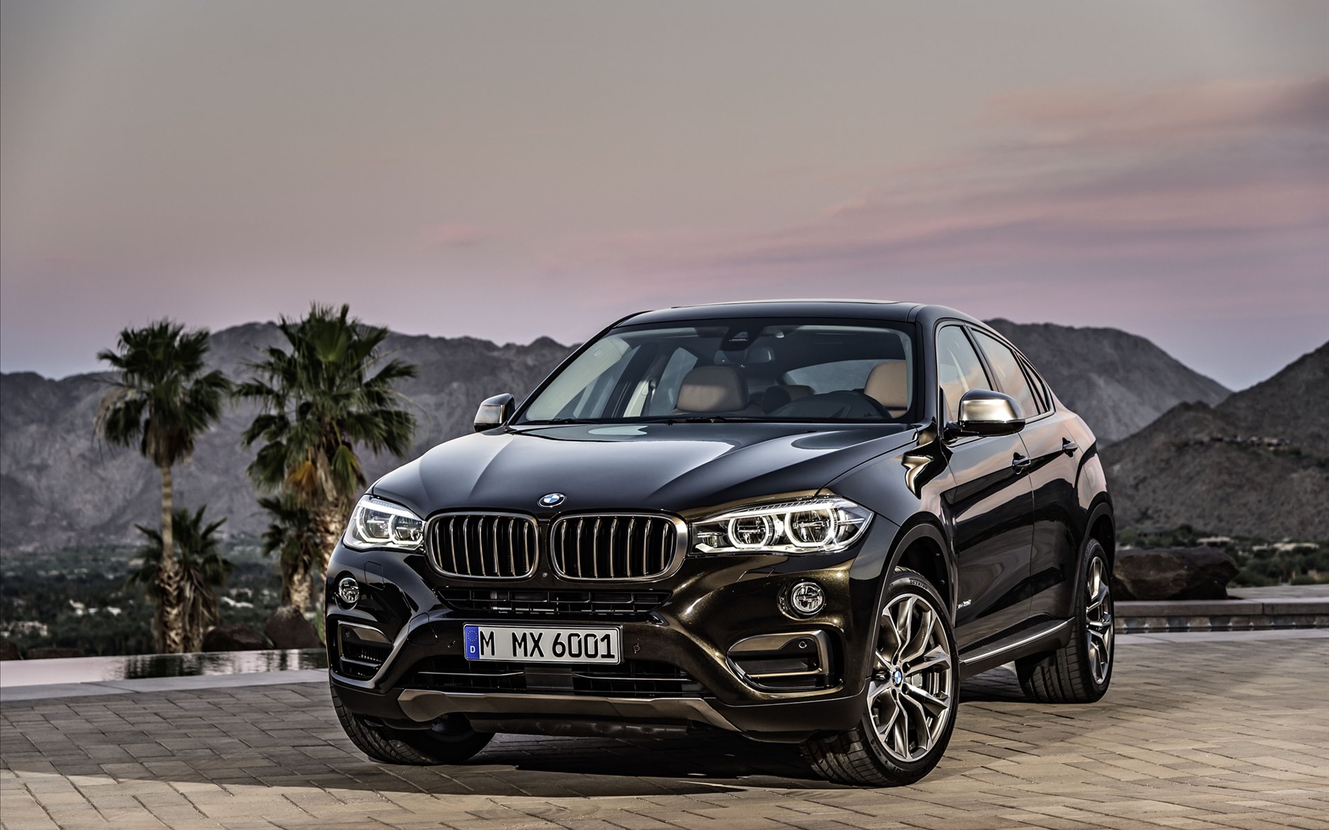 BMW X6 2015