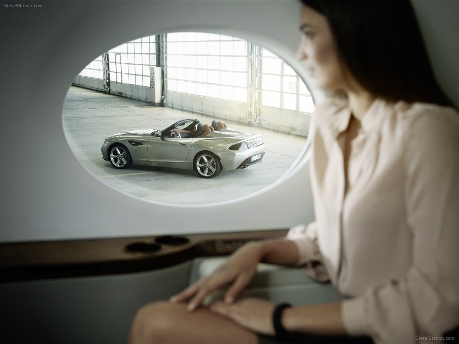 BMW Zagato Roadster 2013