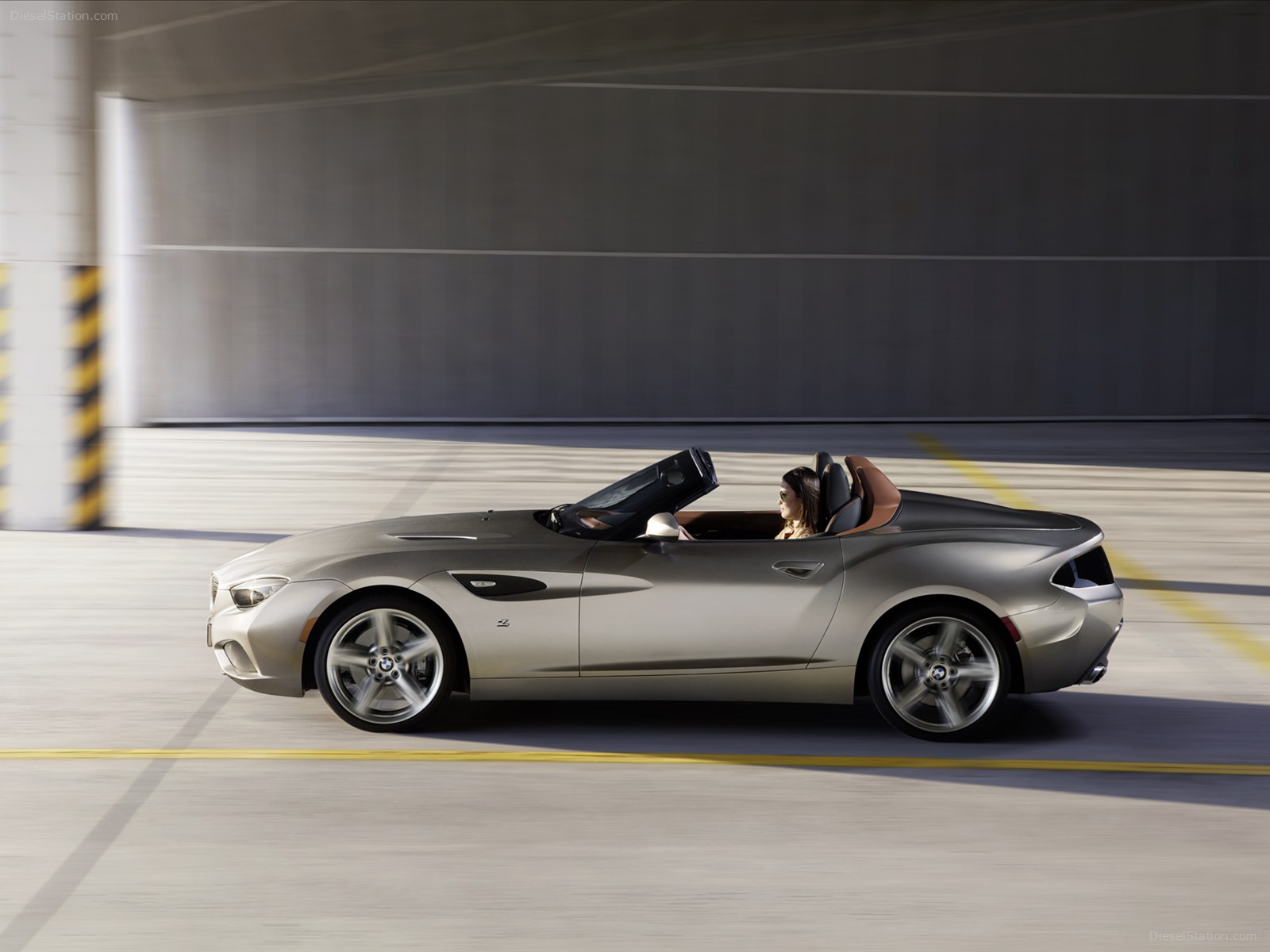 BMW Zagato Roadster 2013