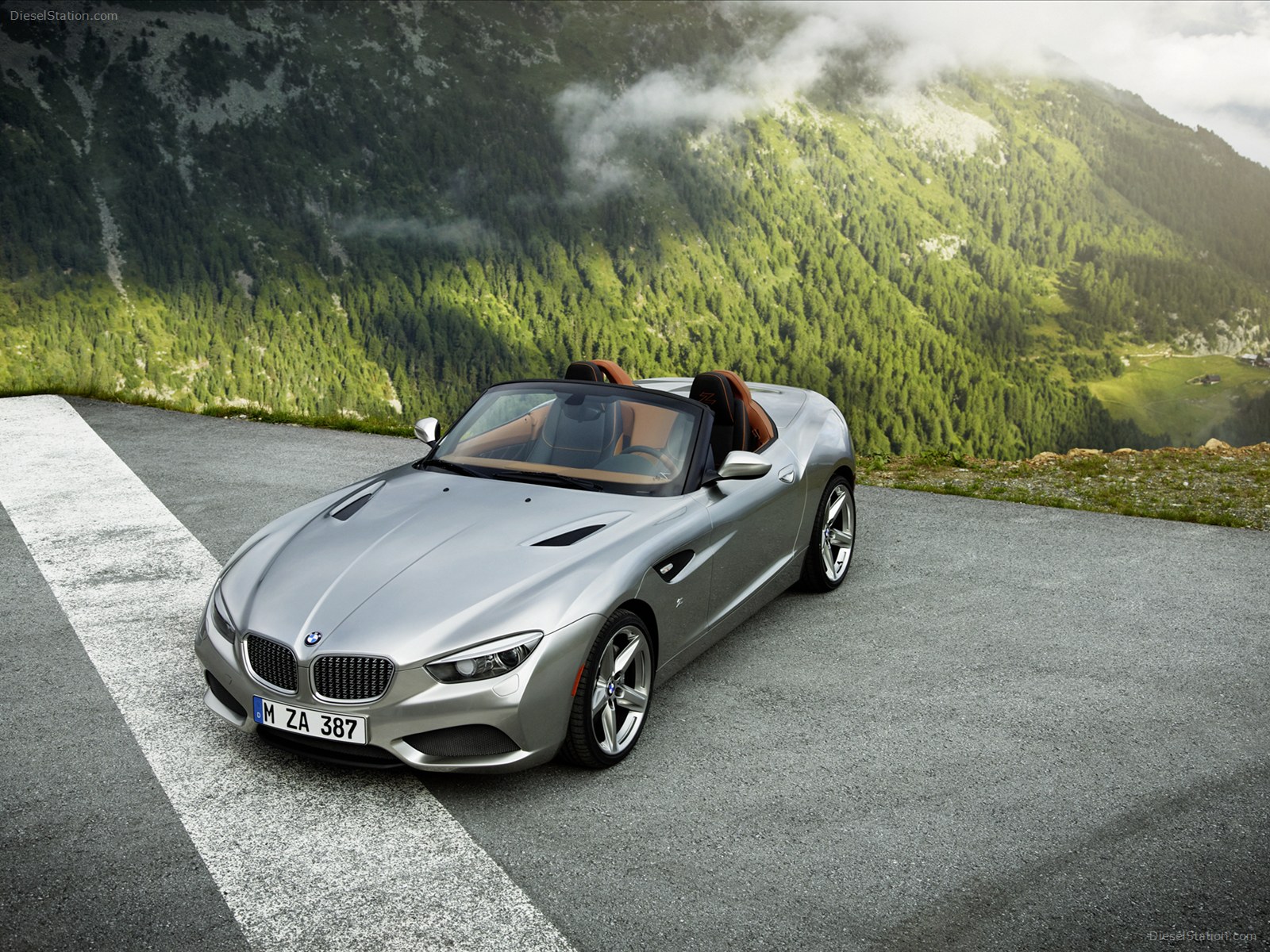 BMW Zagato Roadster 2013