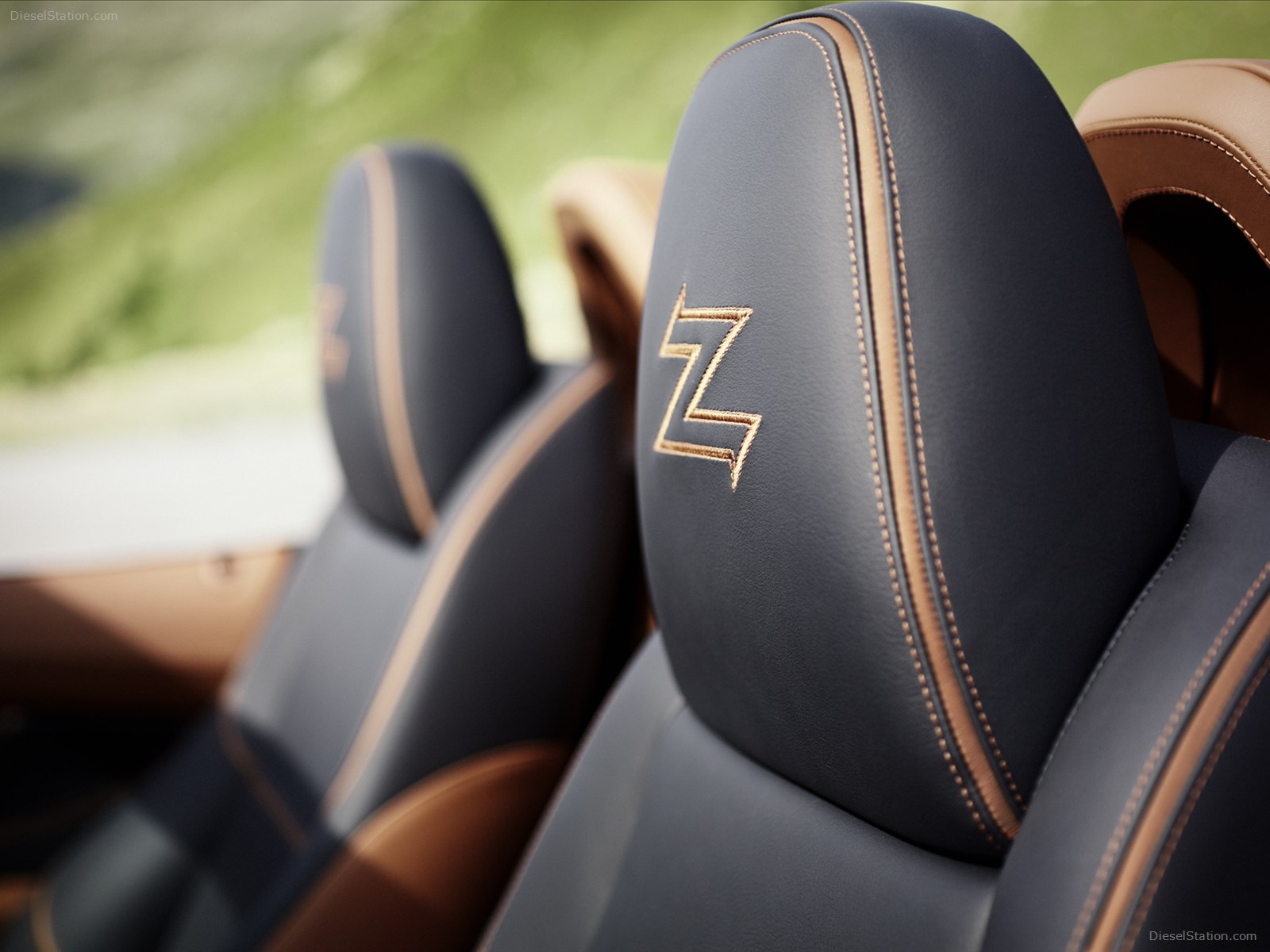 BMW Zagato Roadster 2013