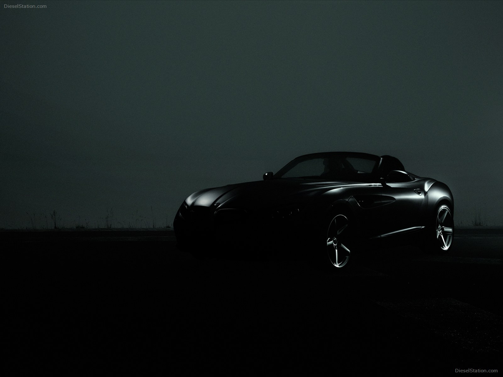 BMW Zagato Roadster 2013