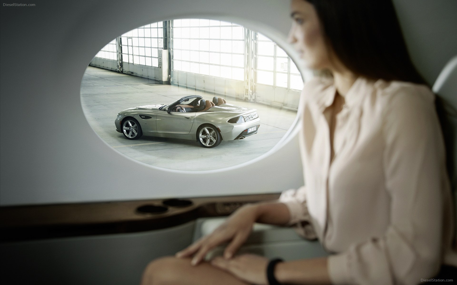 BMW Zagato Roadster 2013