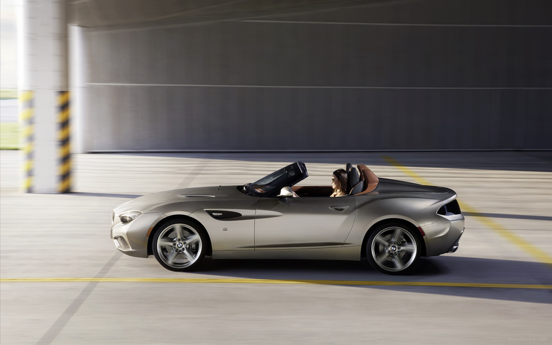 BMW Zagato Roadster 2013