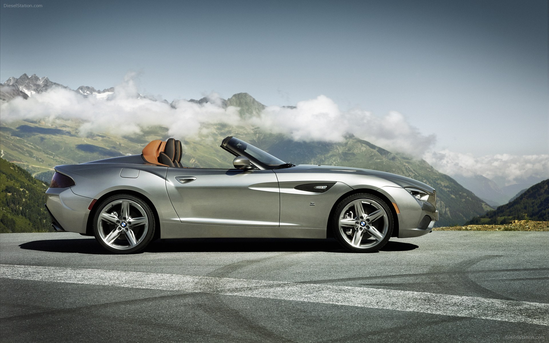 BMW Zagato Roadster 2013