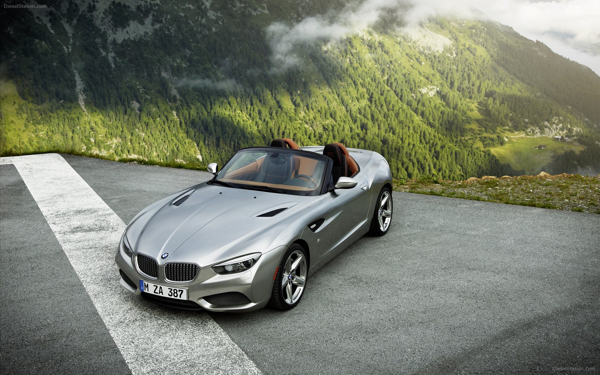 BMW Zagato Roadster 2013