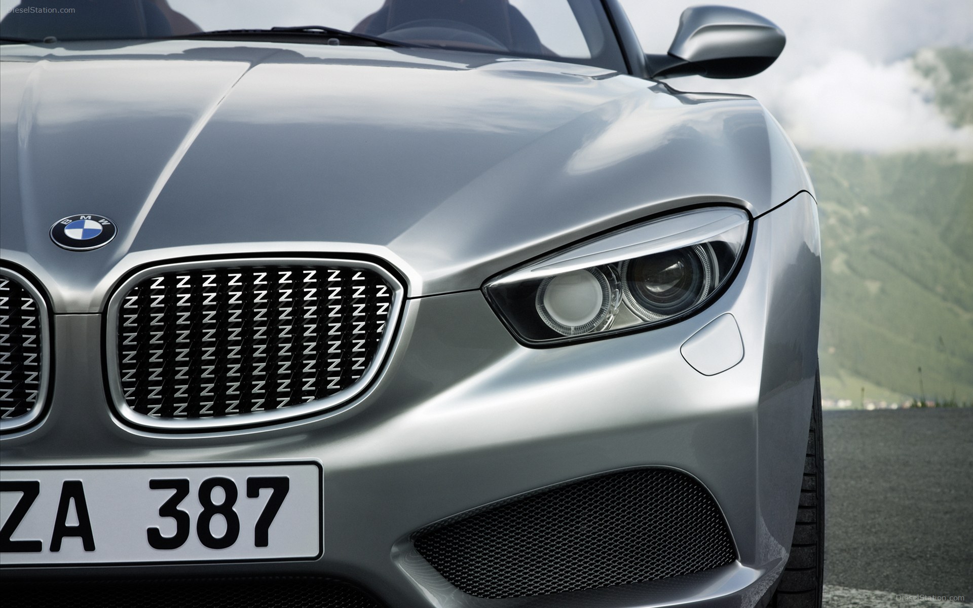 BMW Zagato Roadster 2013