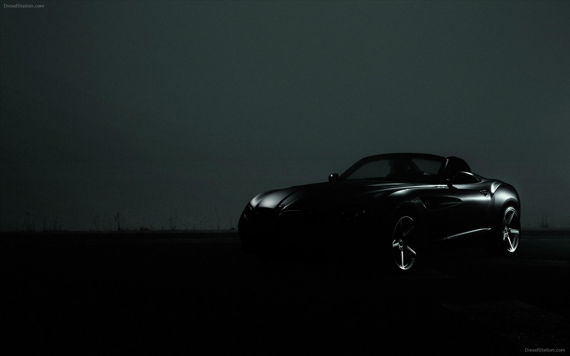 BMW Zagato Roadster 2013