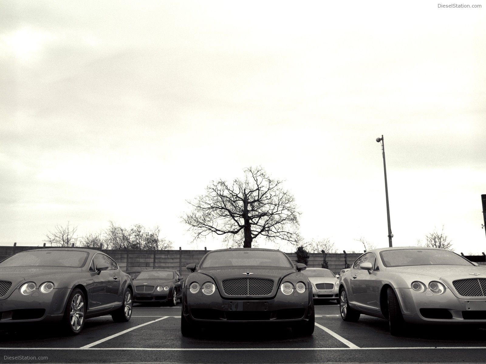 Bentley Miscellaneous