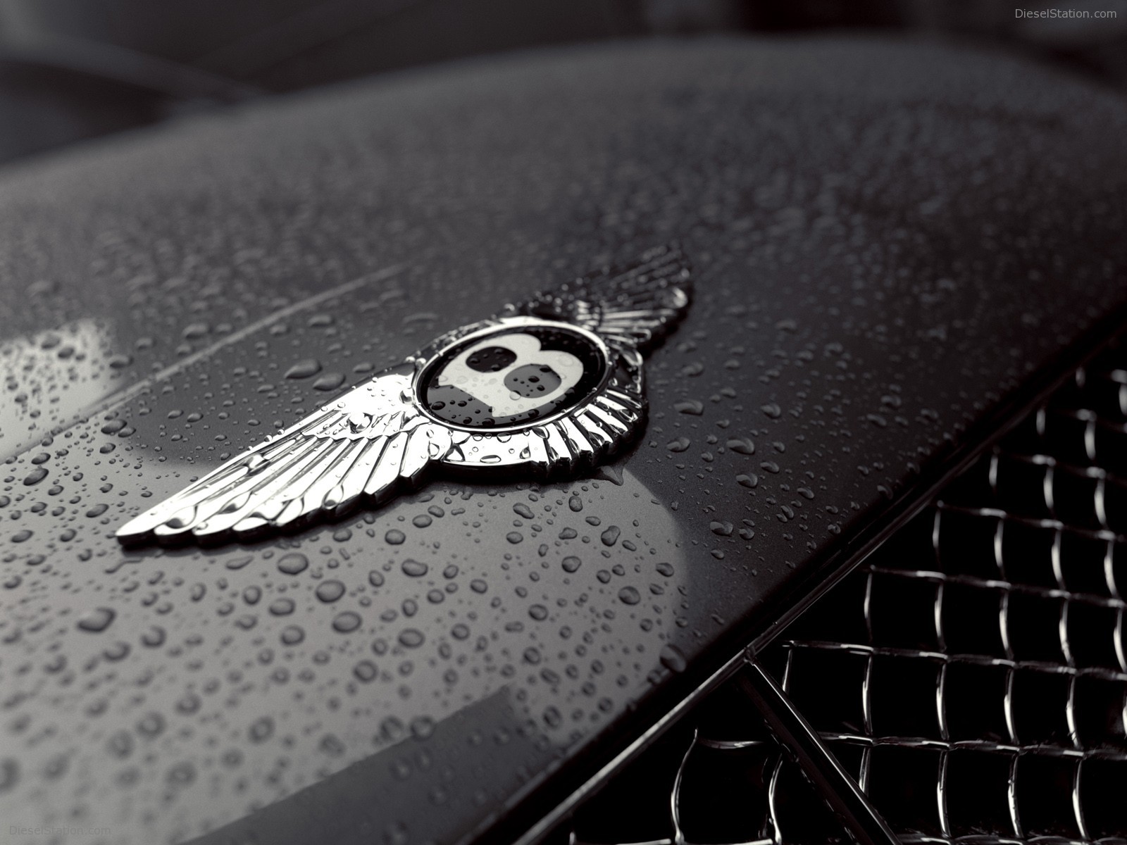 Bentley Miscellaneous