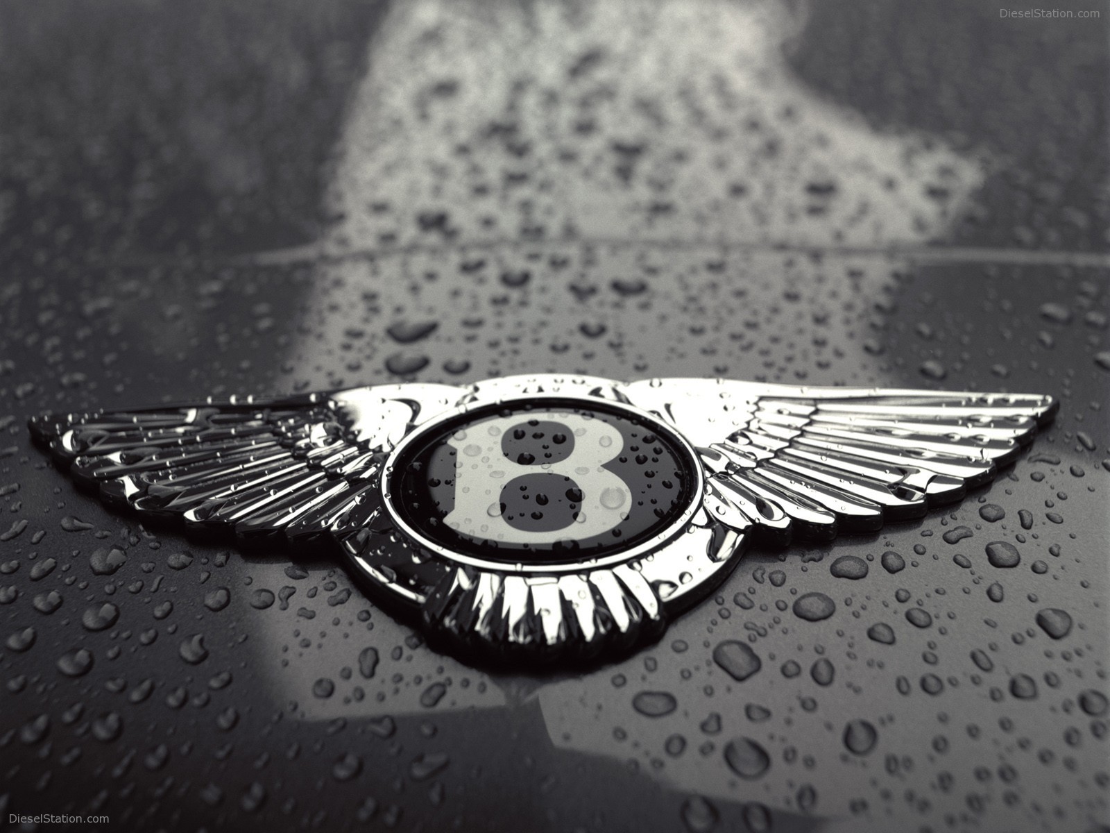 Bentley Miscellaneous