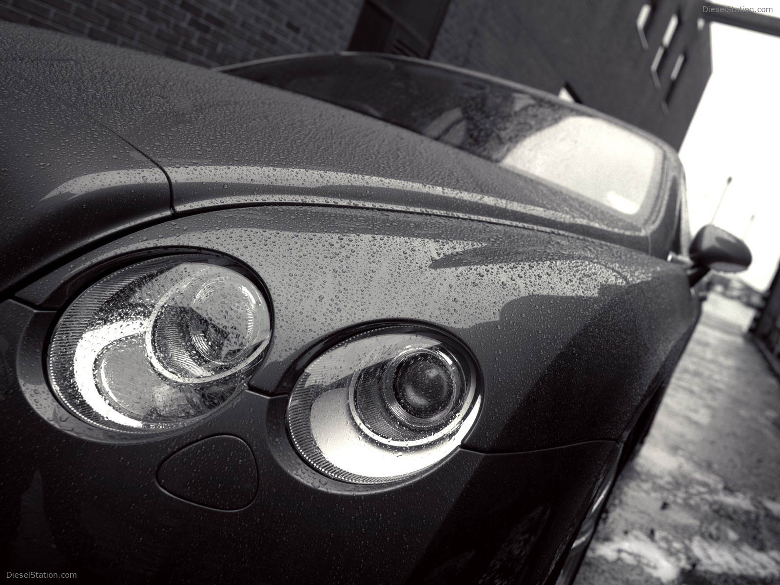Bentley Miscellaneous