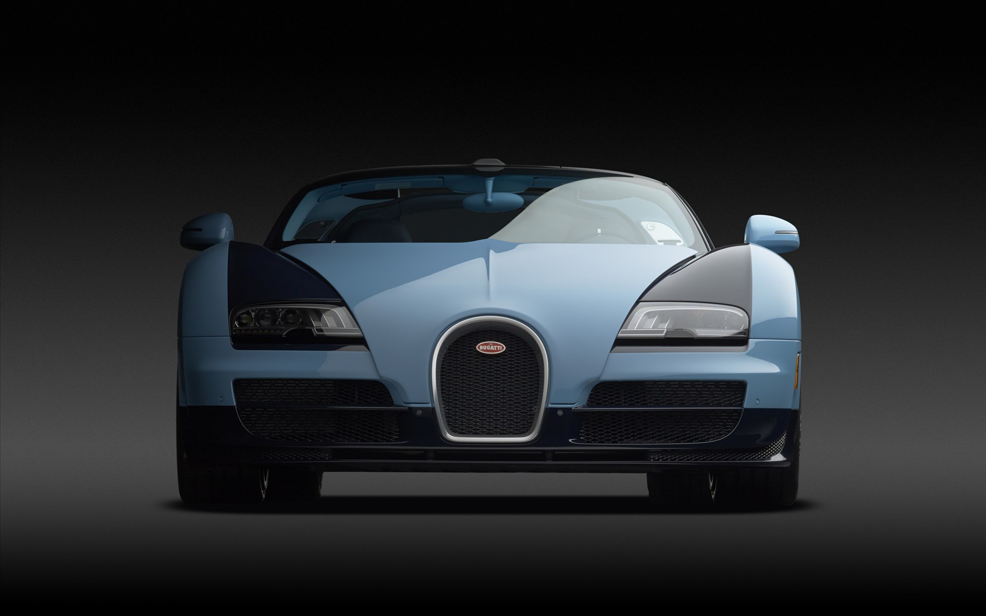 Bugatti Veyron Jean-Pierre Wimille 2013 Bugatti Veyron Jean-Pierre Wimille 2013
