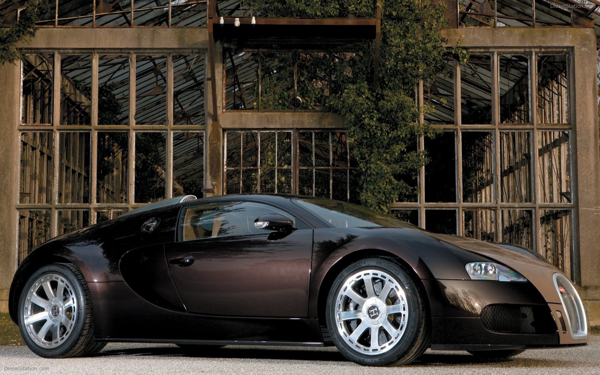 Bugatti Veyron Fbg par Hermes