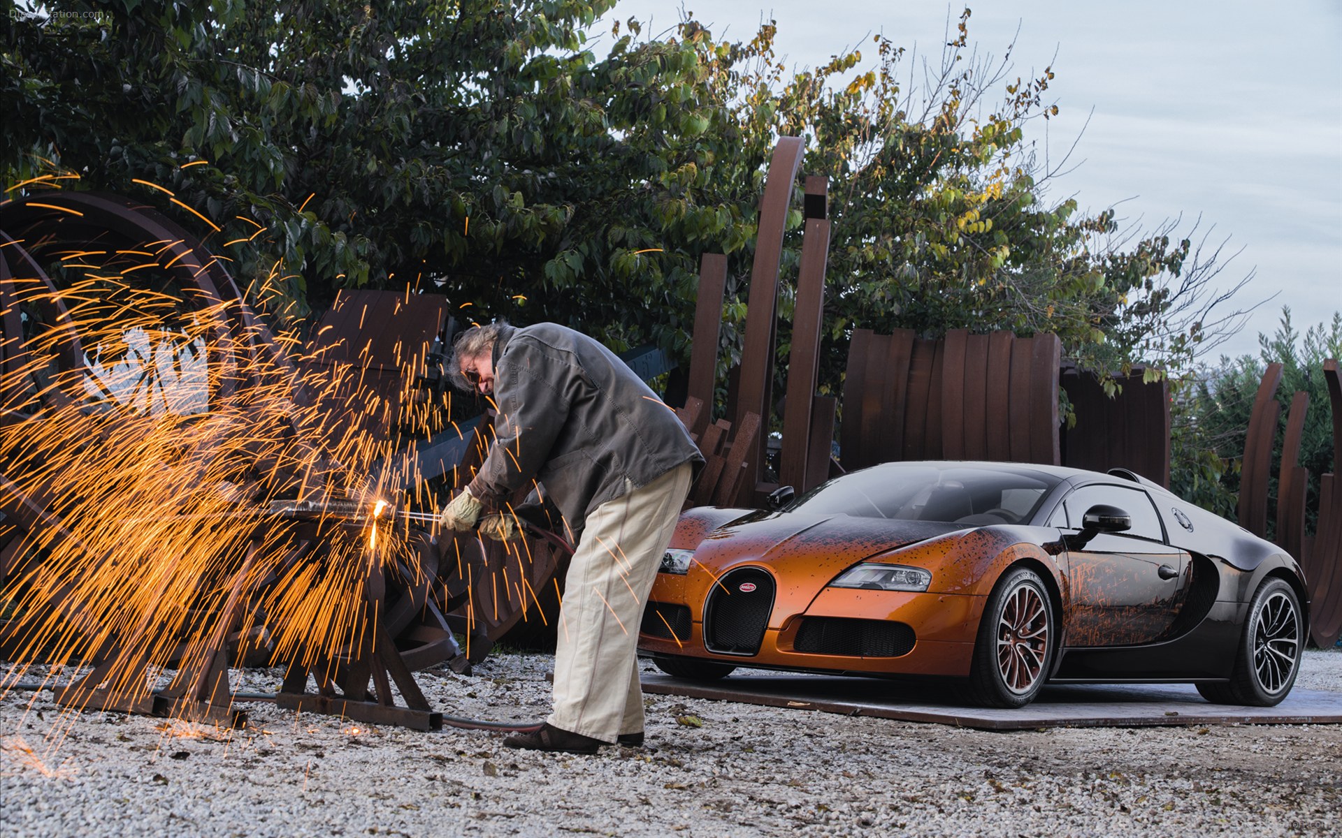 Bugatti Veyron Grand Sport Bernar Venet 2012