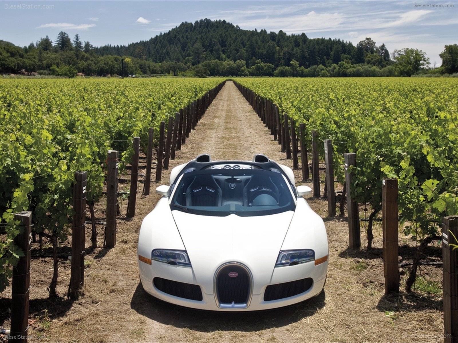 Bugatti Veyron 16.4 Grand Sport Production Start