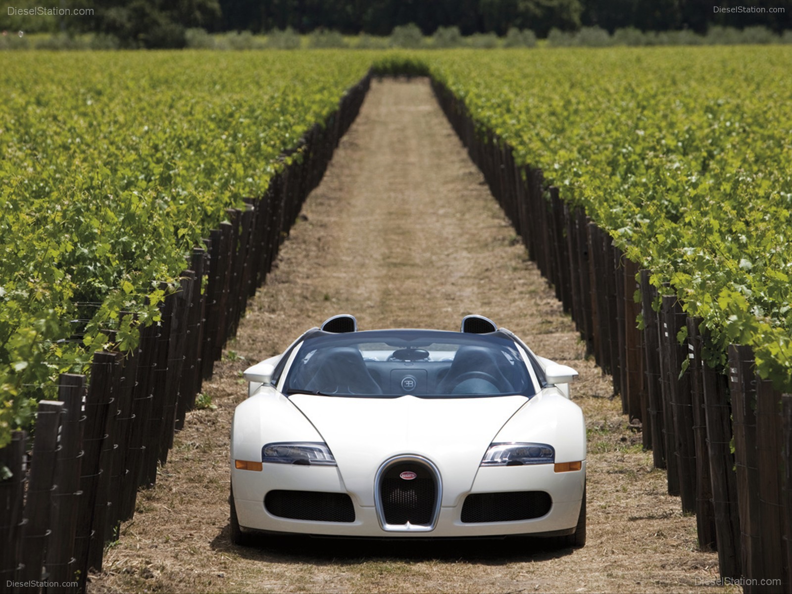 Bugatti Veyron 16.4 Grand Sport Production Start