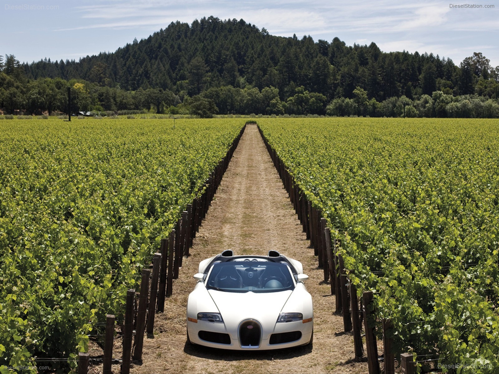 Bugatti Veyron 16.4 Grand Sport Production Start Bugatti Veyron 16.4 Grand Sport Production Start