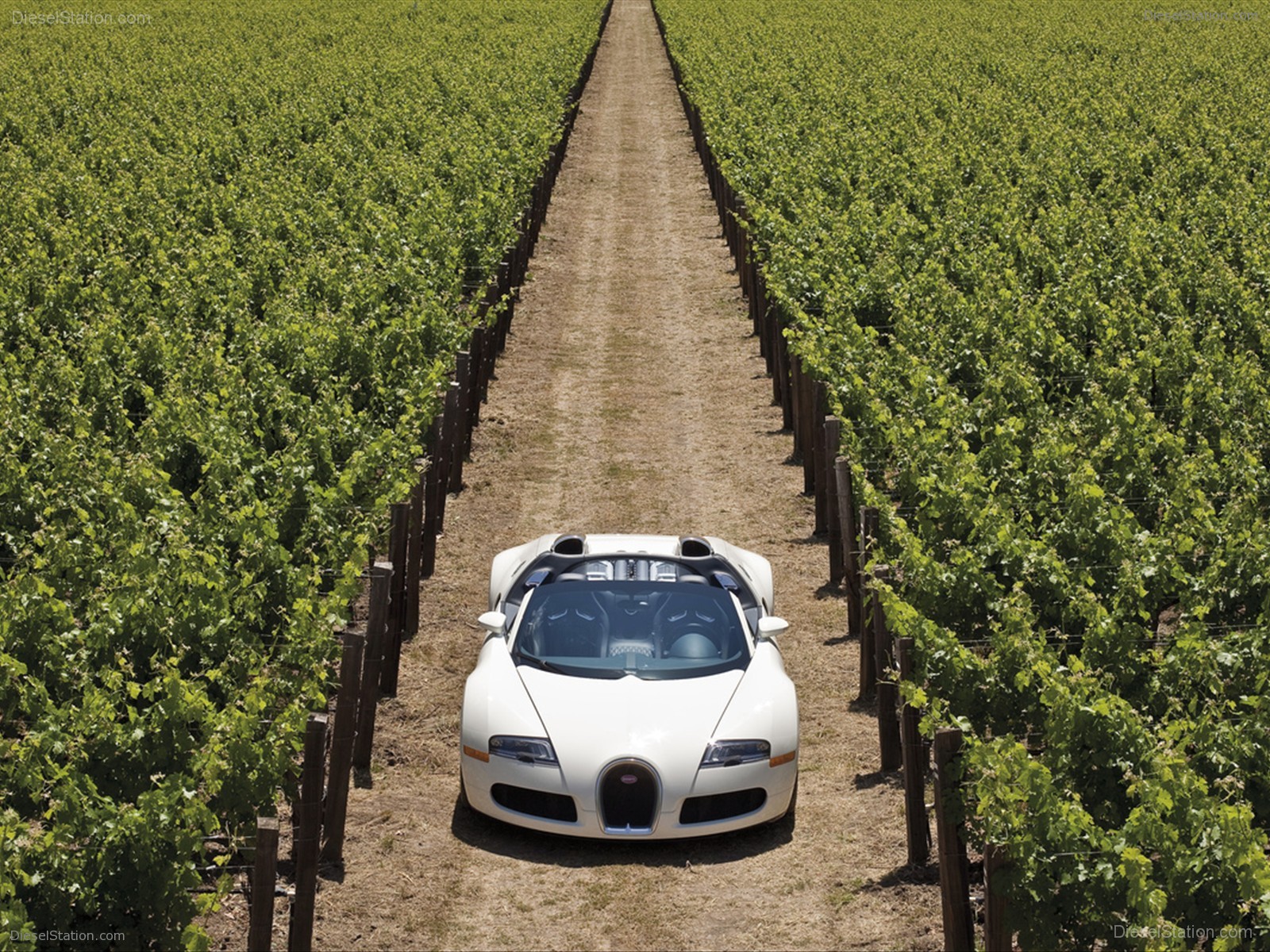 Bugatti Veyron 16.4 Grand Sport Production Start Bugatti Veyron 16.4 Grand Sport Production Start