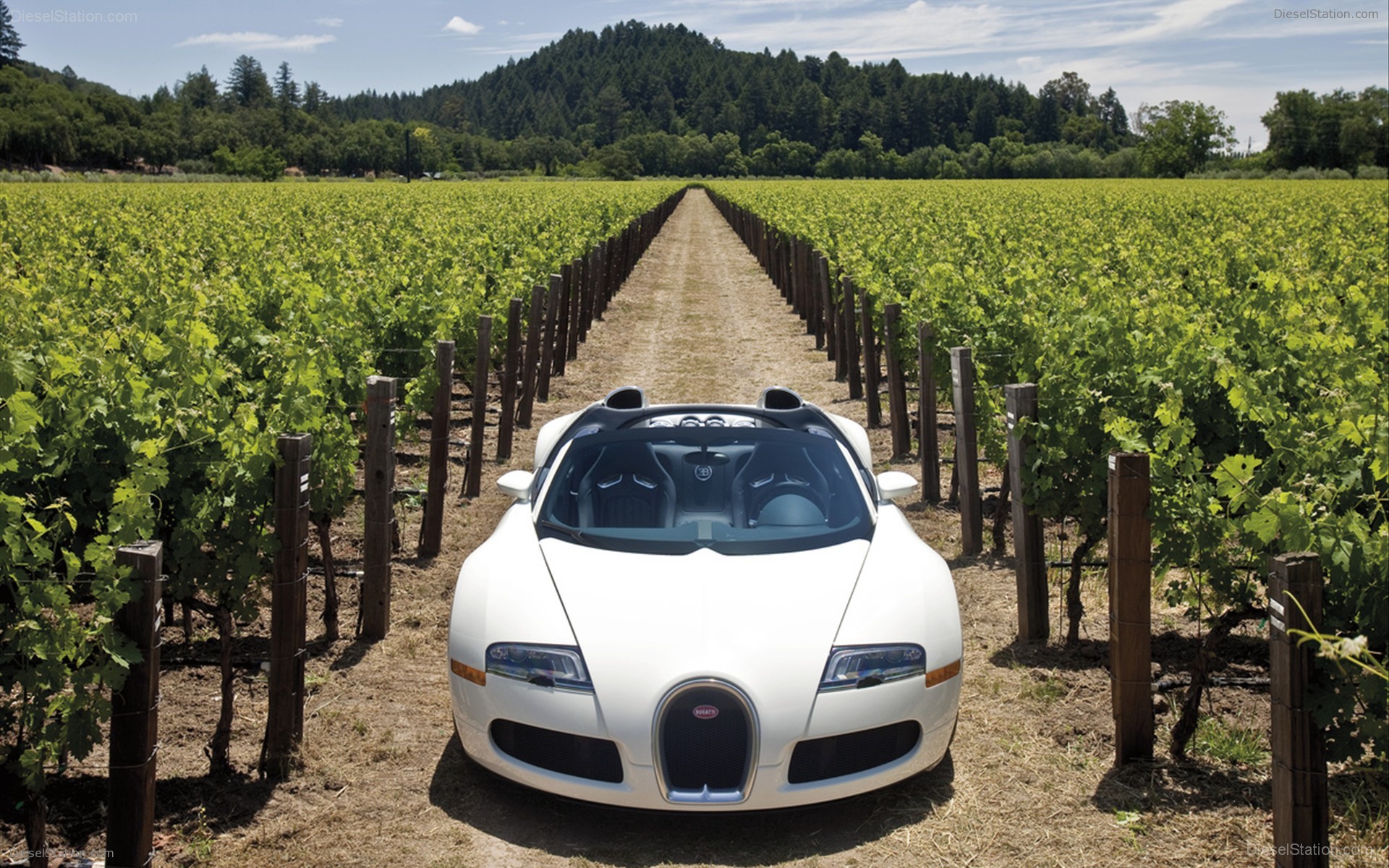 Bugatti Veyron 16.4 Grand Sport Production Start