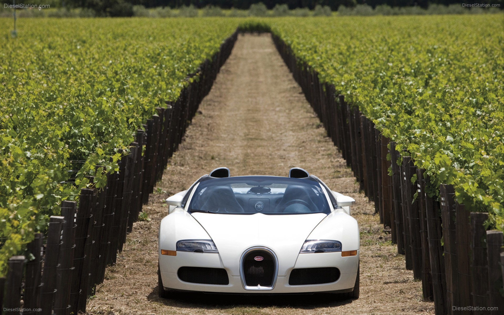 Bugatti Veyron 16.4 Grand Sport Production Start Bugatti Veyron 16.4 Grand Sport Production Start