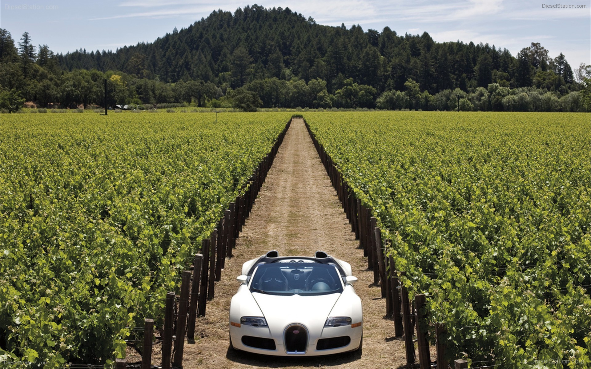 Bugatti Veyron 16.4 Grand Sport Production Start Bugatti Veyron 16.4 Grand Sport Production Start