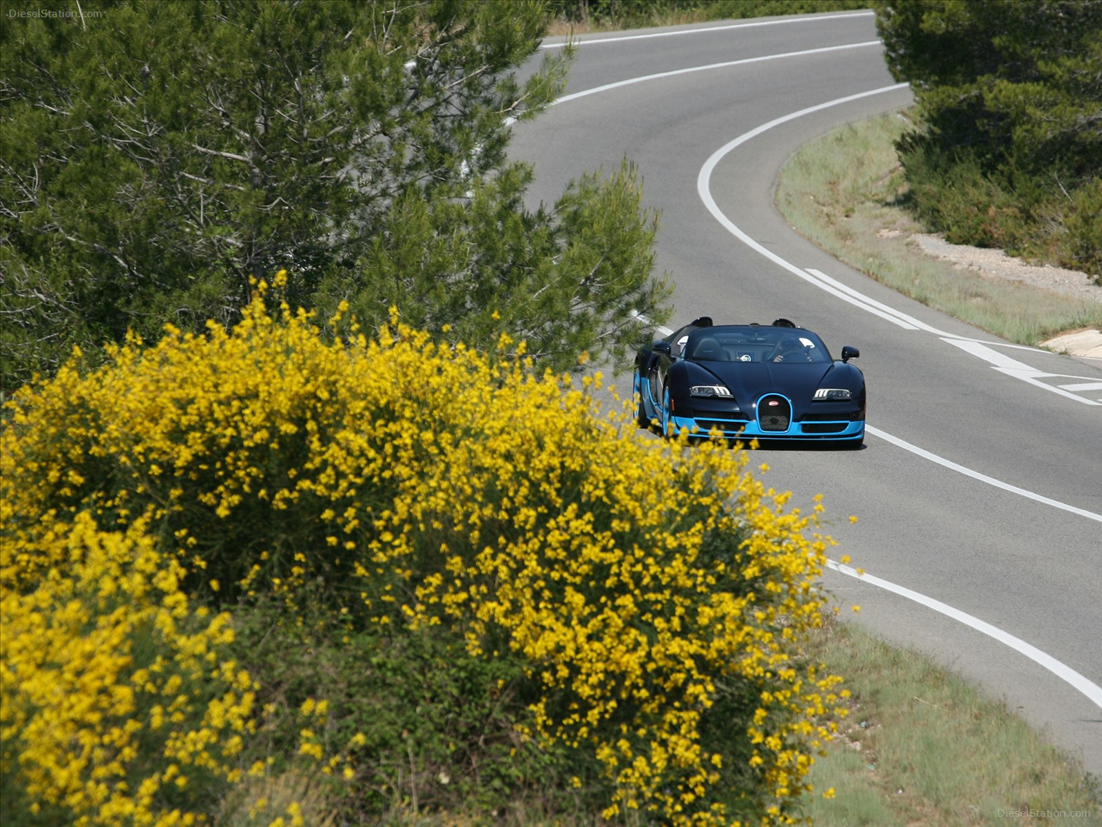 Bugatti Veyron Grand Sport Vitesse 2012