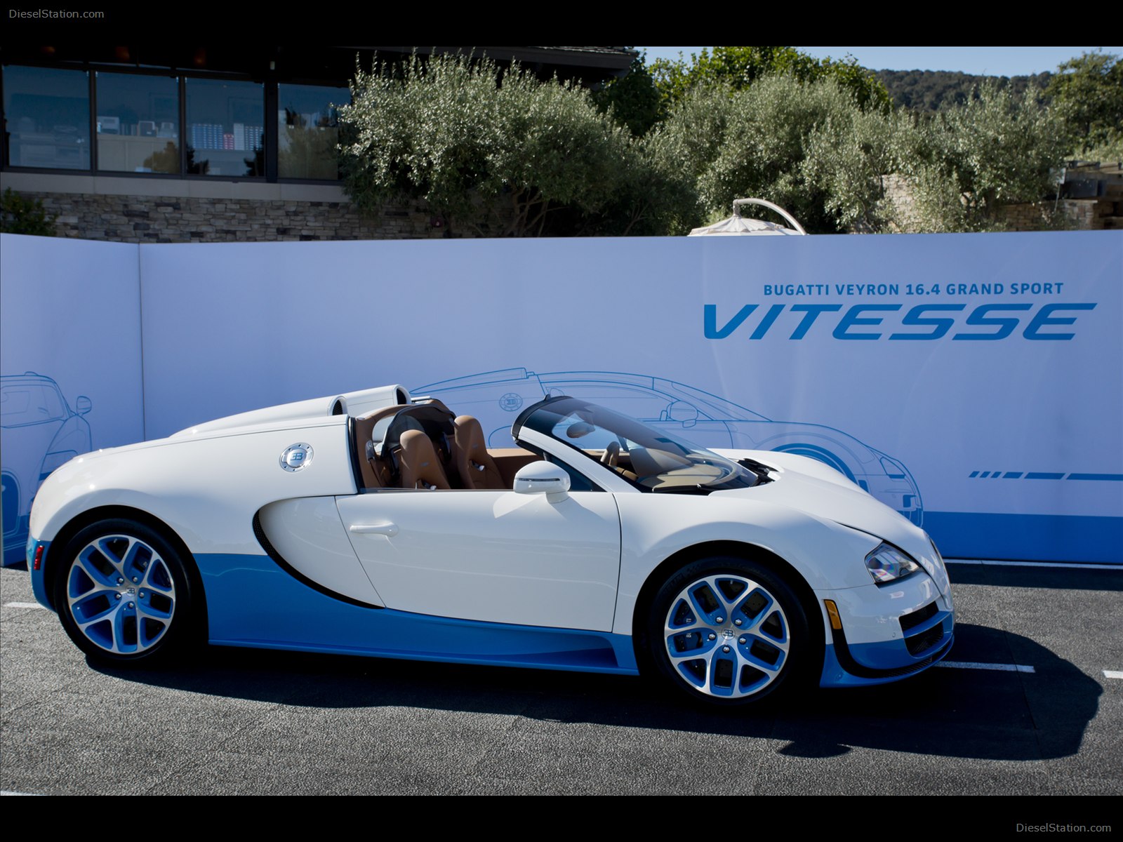 Bugatti Veyron Grand Sport Vitesse 2012