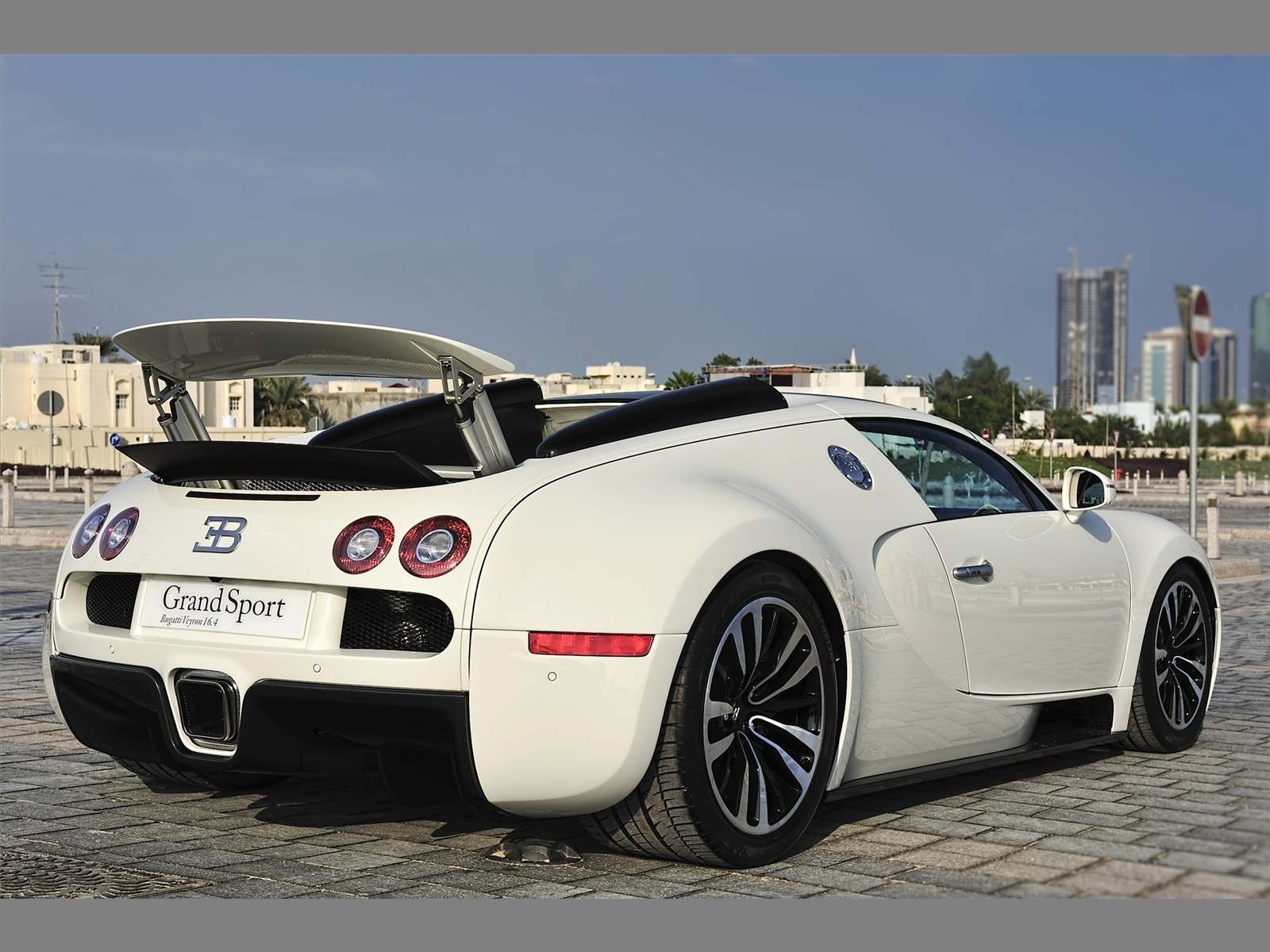 Bugatti Veyron 16.4 Grand Sport 2010