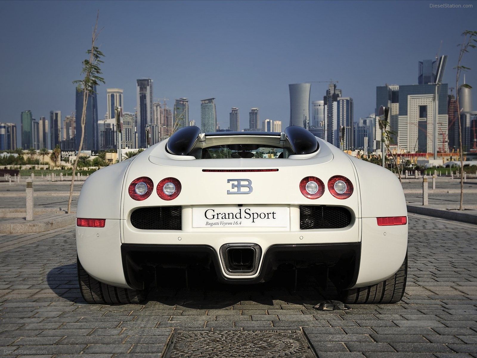 Bugatti Veyron 16.4 Grand Sport 2010