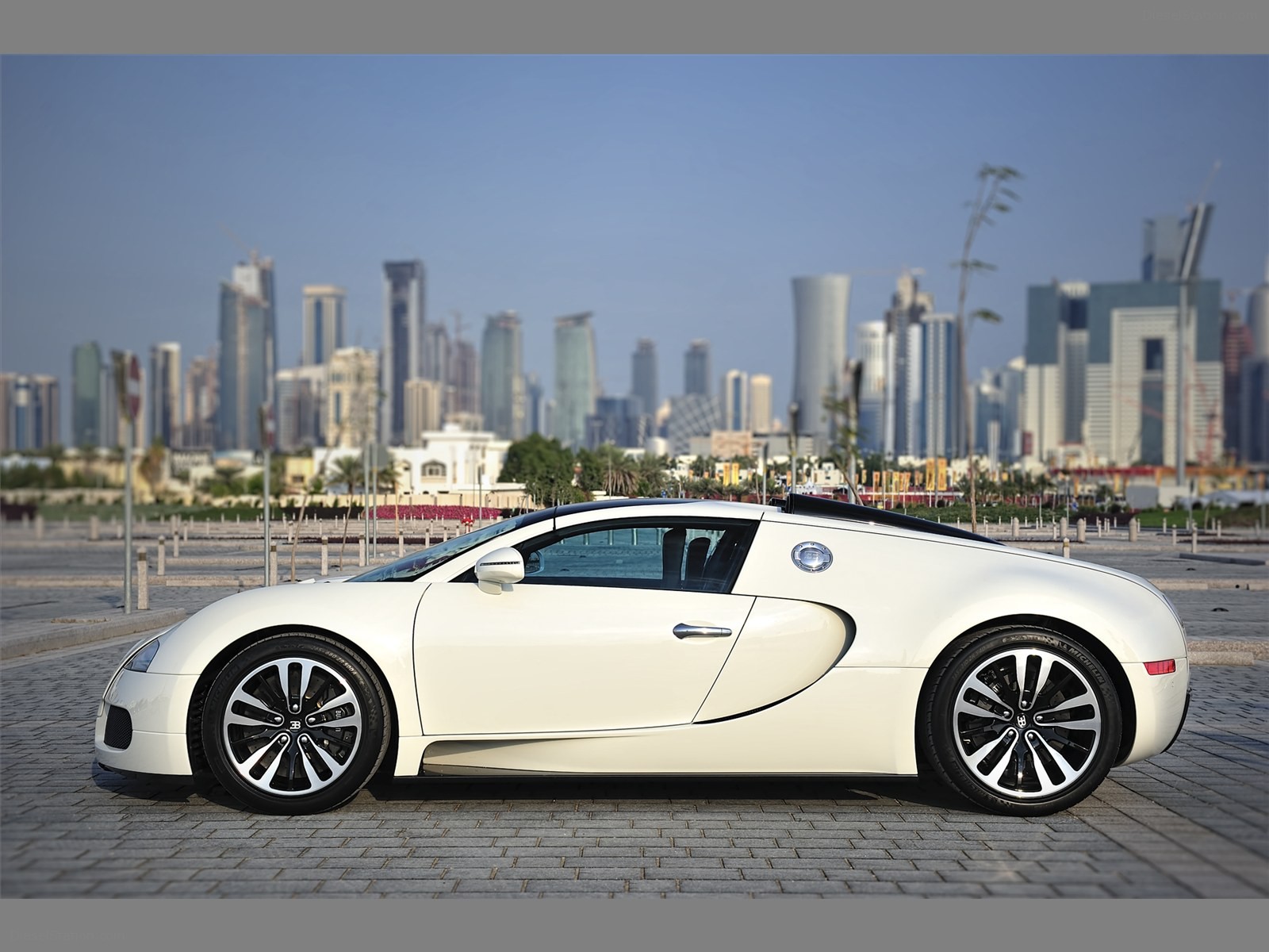Bugatti Veyron 16.4 Grand Sport 2010