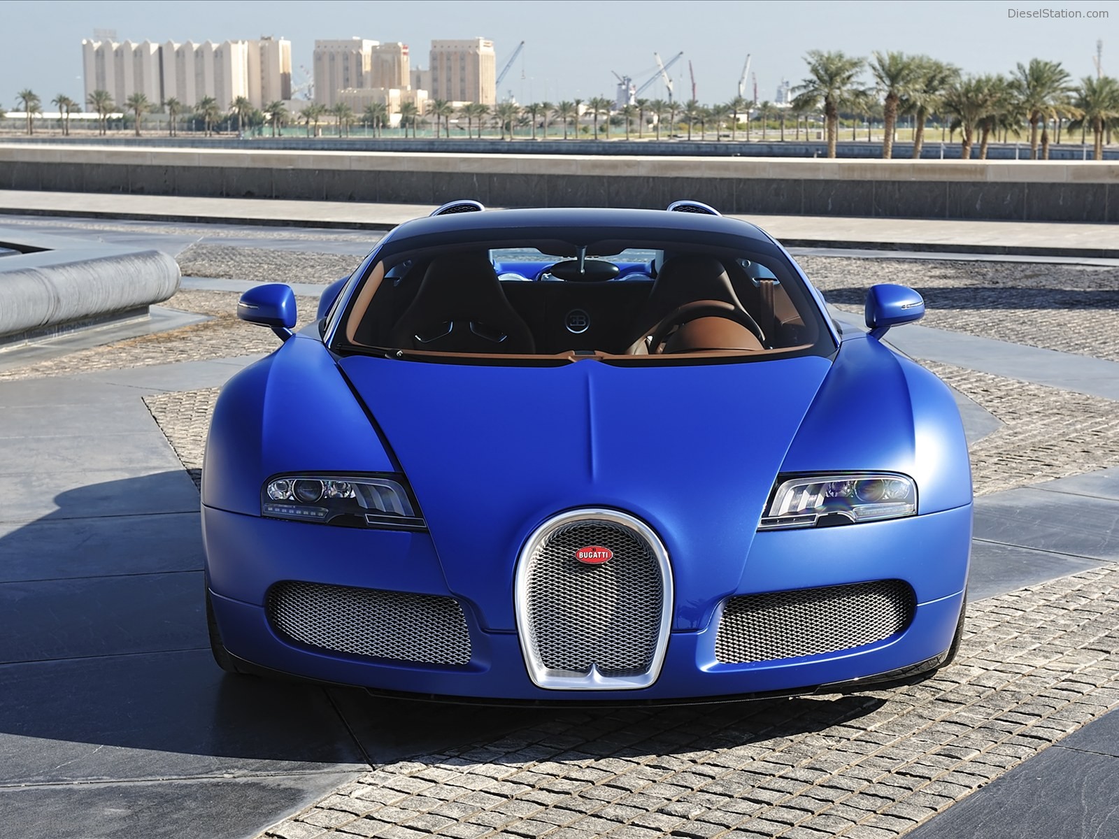 Bugatti Veyron 16.4 Grand Sport 2010