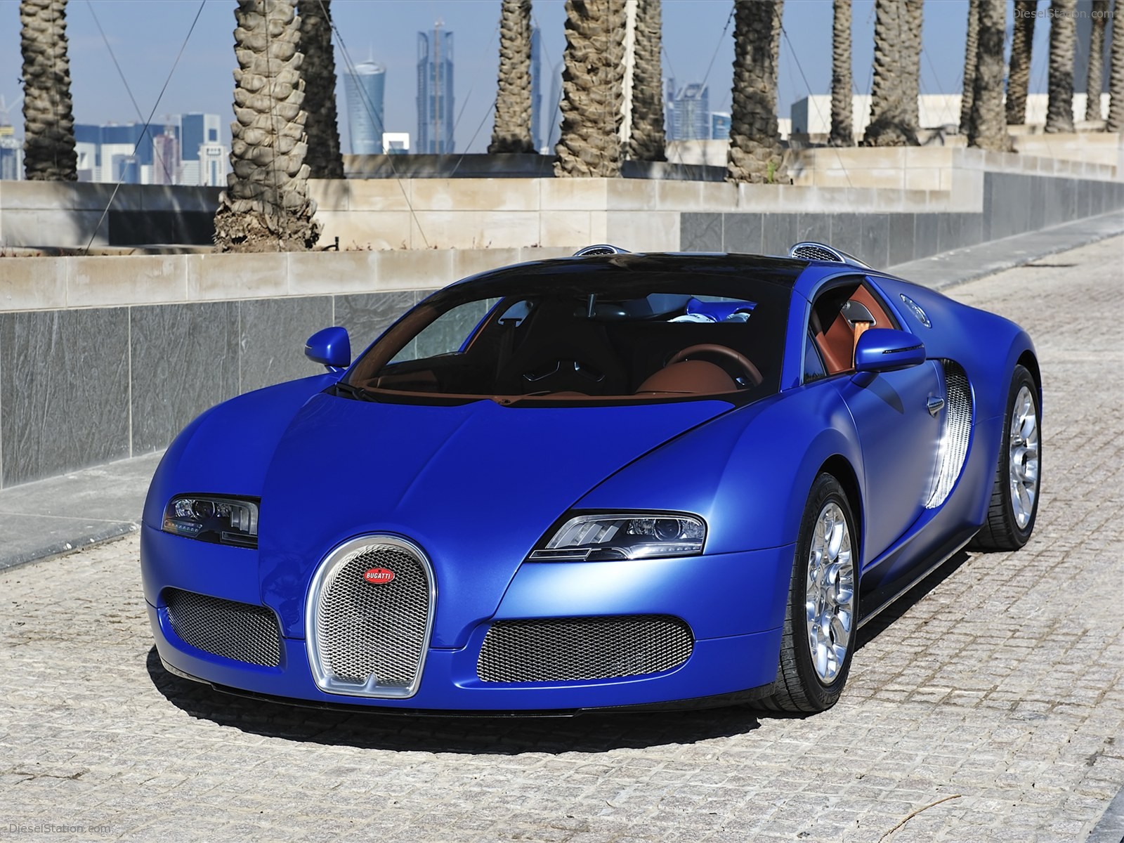 Bugatti Veyron 16.4 Grand Sport 2010