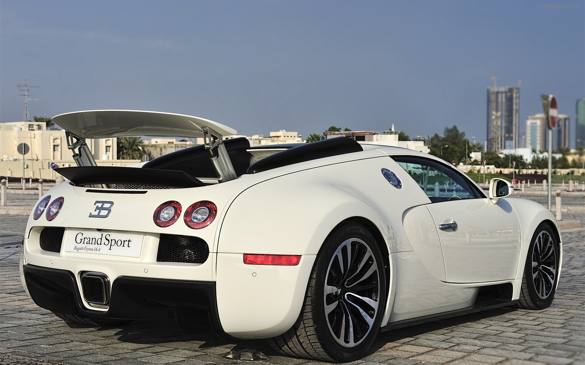 Bugatti Veyron 16.4 Grand Sport 2010