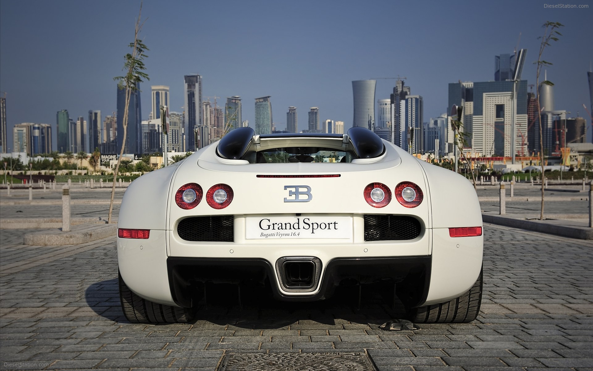 Bugatti Veyron 16.4 Grand Sport 2010