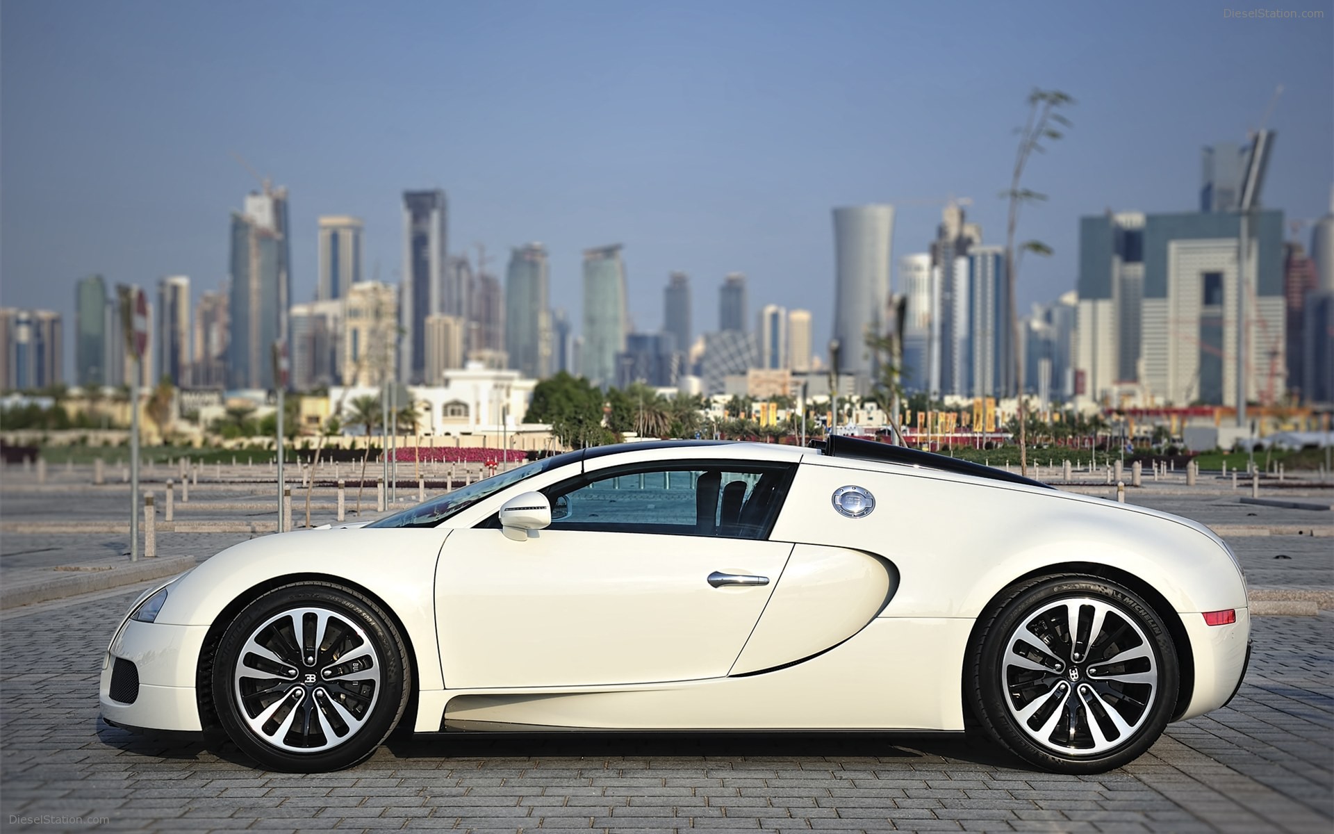 Bugatti Veyron 16.4 Grand Sport 2010